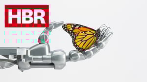 hbr_blog_banner